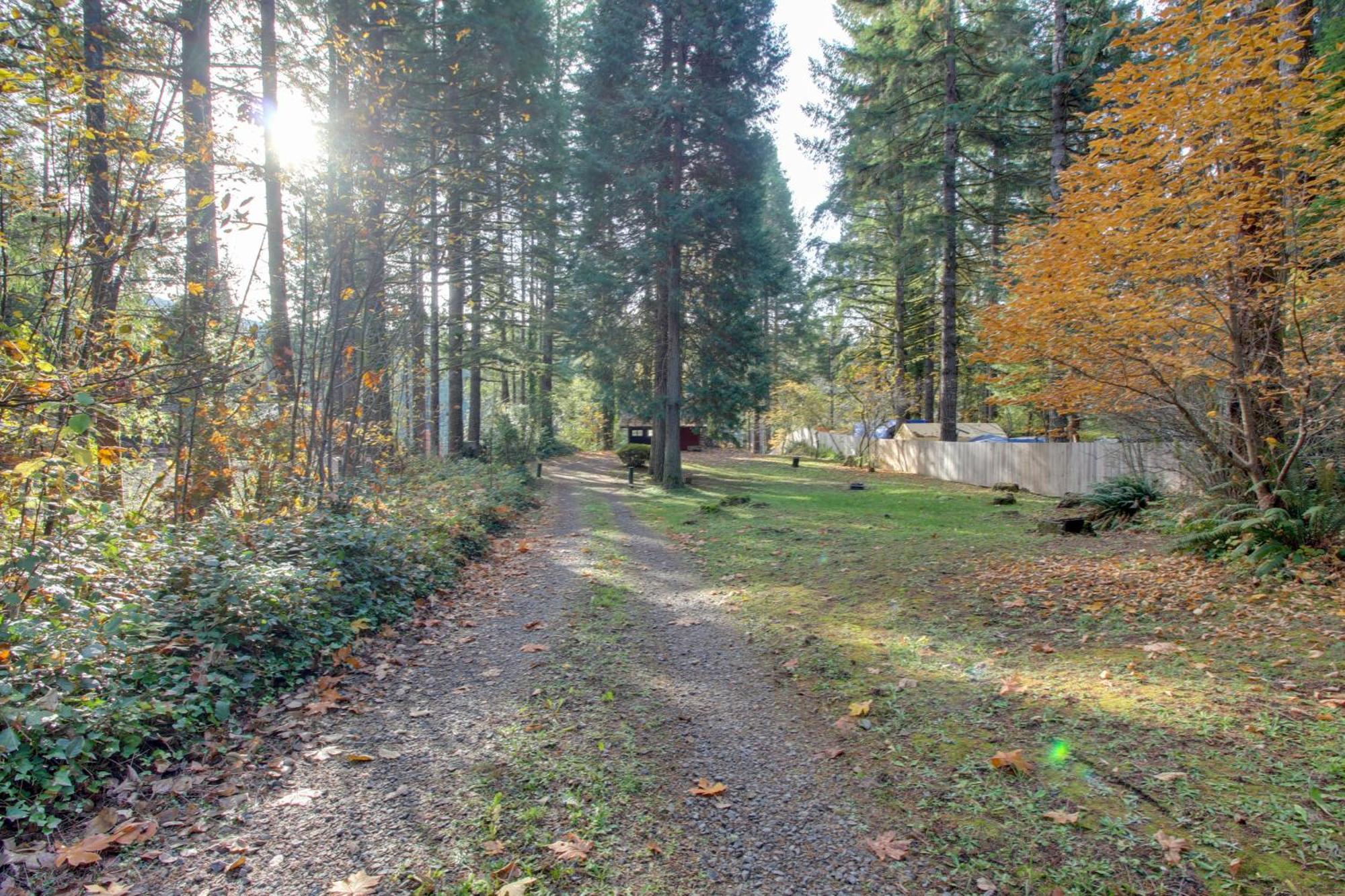 Peaceful Mckenzie River Retreat Fish, Hike, And Ski Vida Exterior photo